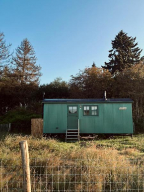 The Green Shepherd, a charming authentic cabin surrounded by beautiful countryside Vielsalm